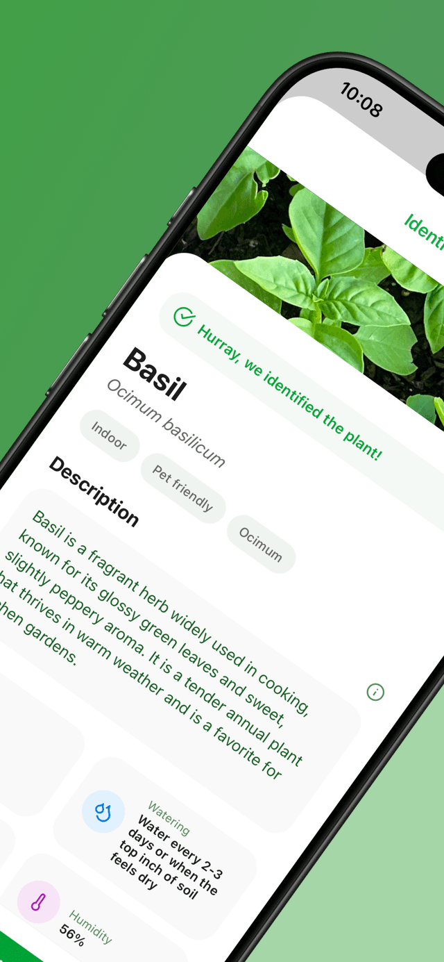 Virido identifying a basil plant using AI with care guide result