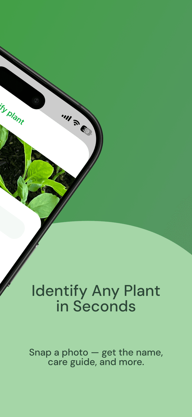 Virido AI plant identification feature