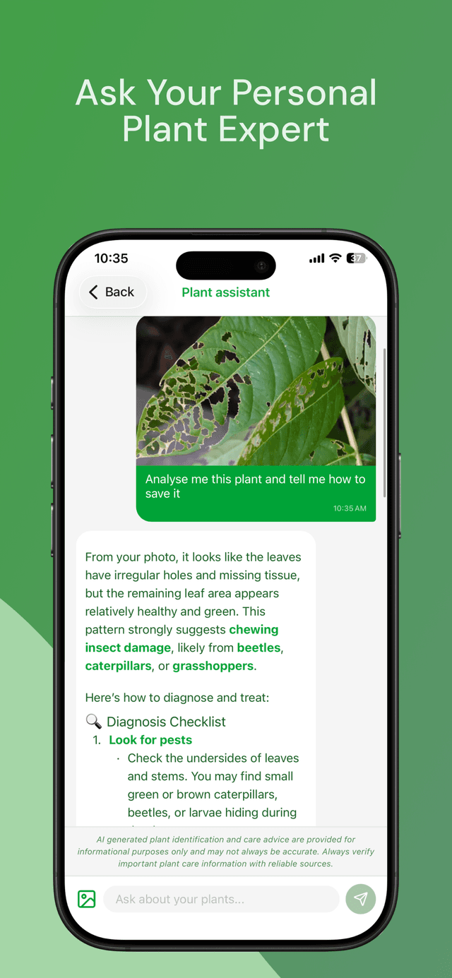 Virido AI plant expert chat answering questions about plant care