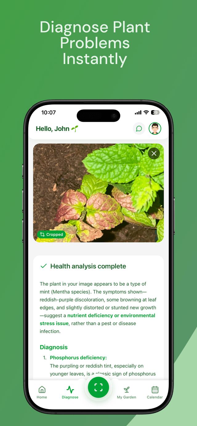 Virido plant diagnosis showing disease detection and treatment plan