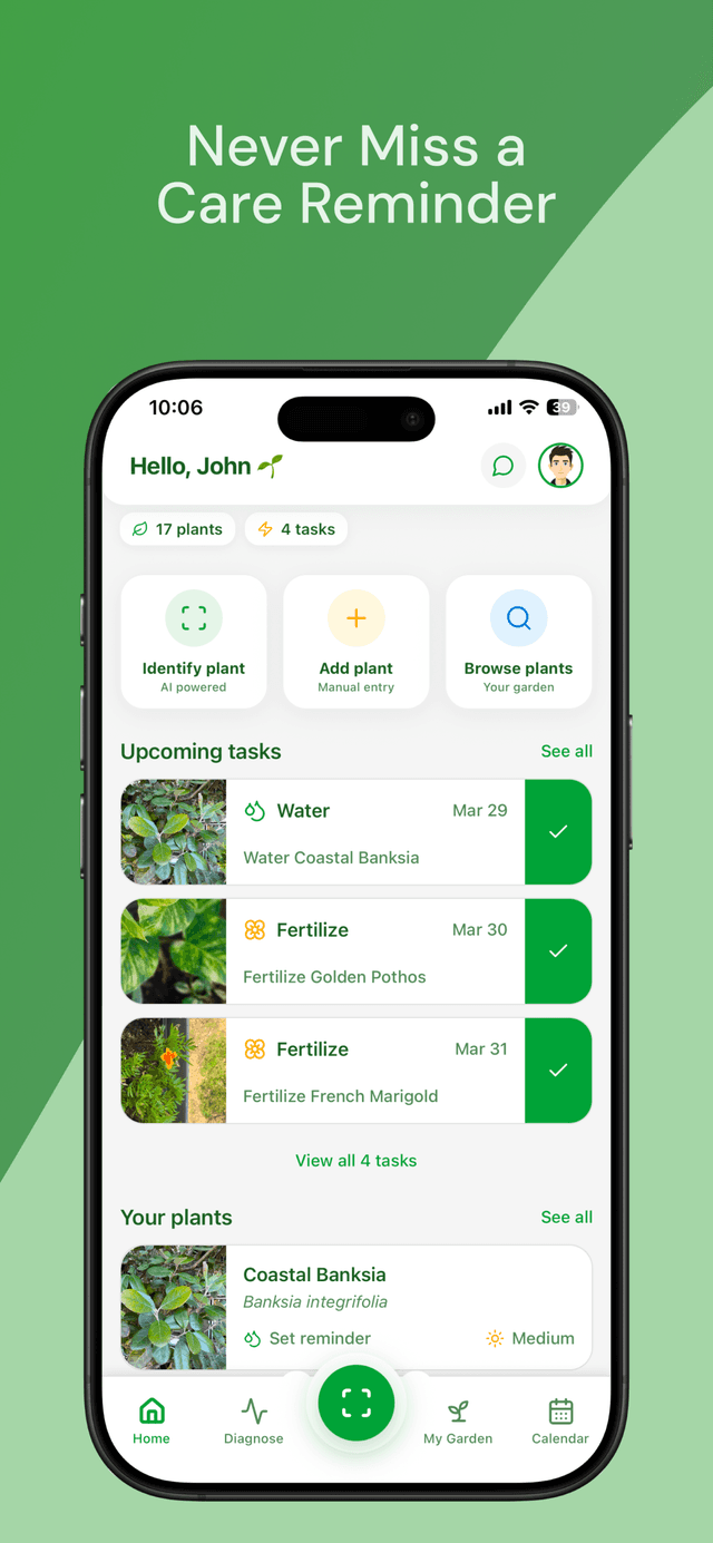 Virido AI plant identifier app