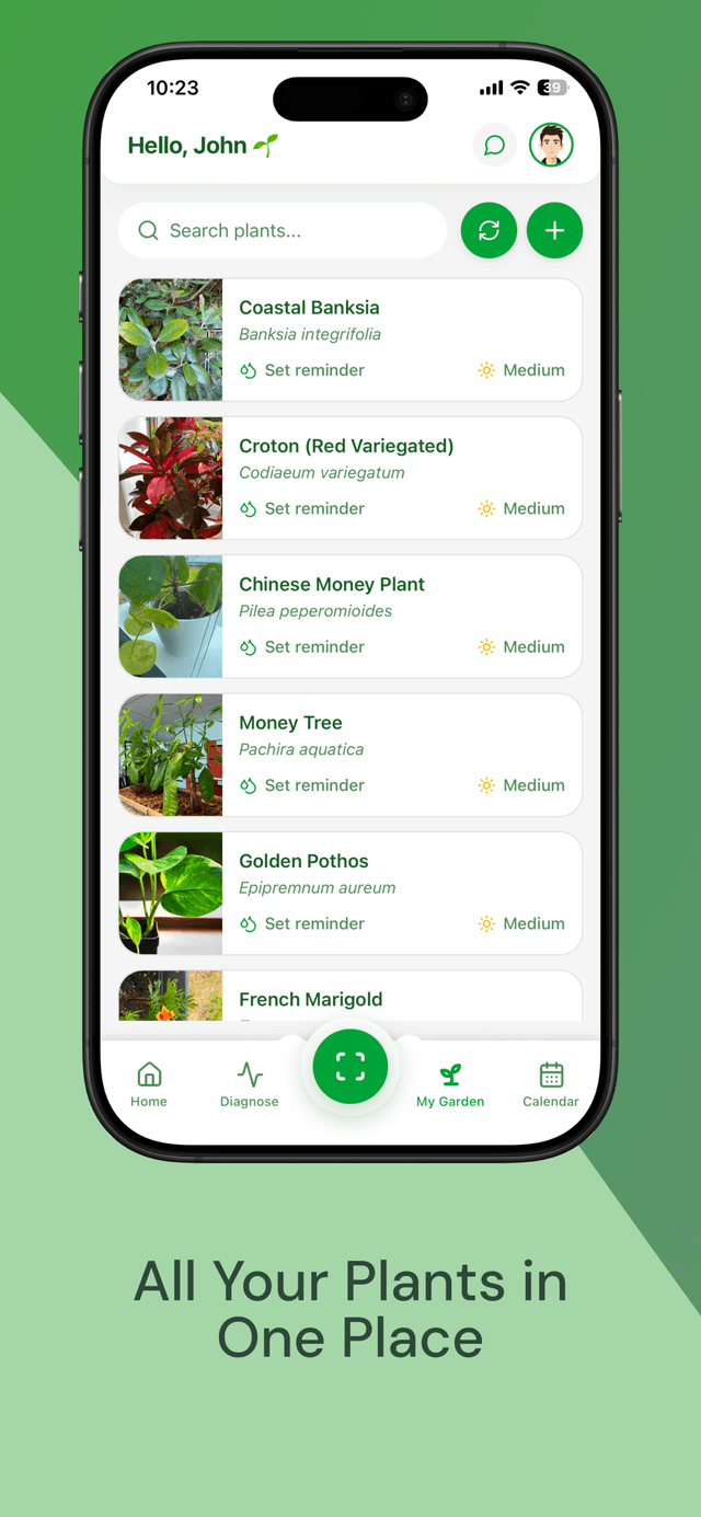 Virido user account and plant settings